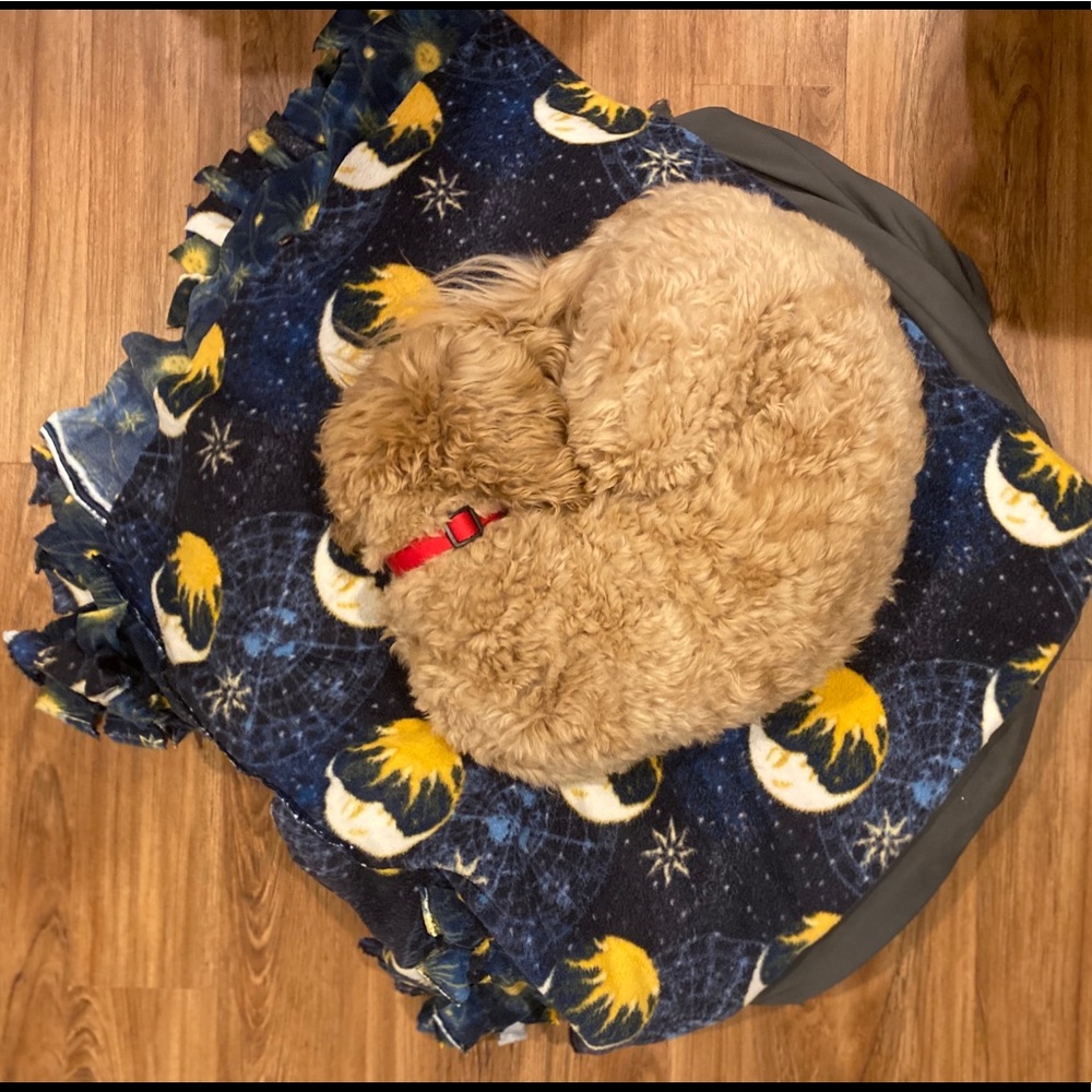 Meet your Posher, Alex